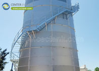 Center Enamel levert SS304 316L roestvrijstalen tanks voor de bierindustrie