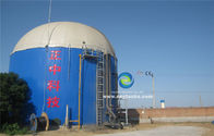1 MW Biomassavergassingscentrale Glas gesmolten met staaltank voor het omzetten van afvalstoffen in energie