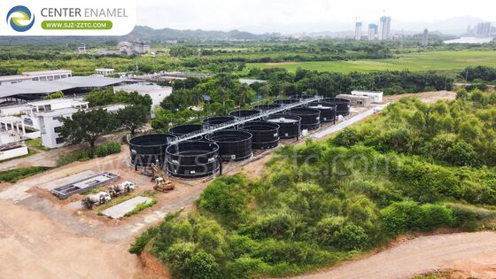 Duurzame energieoplossingen: GFS-tanks en dubbele membraan daken voor biogasprojecten in Kenia