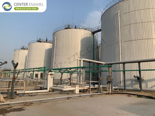 Ondernemer van het biogasproject met CSTR-proces voor de behandeling van veemest in Egypte