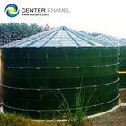 Minimaal onderhoudsbehoefte roestvrij biogasopslagcentrum met een superieure corrosiebestendigheid