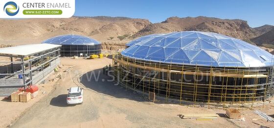 Premium Biogas Projects and GFS Tanks for Philippines Poultry Farm Wastewater Treatment