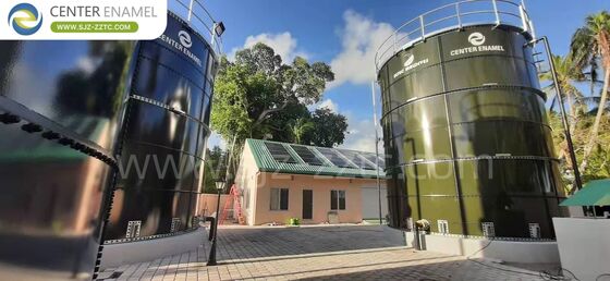 Geavanceerde biogastechnologie voor Japan Pennisetum Purpureum Biogasprojecten