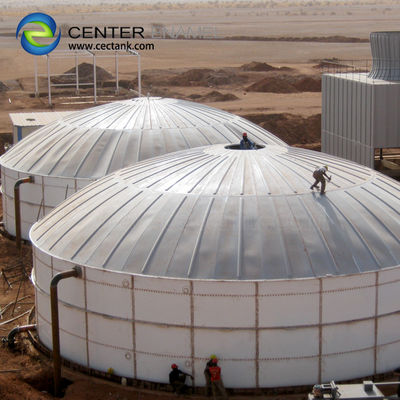 Hoog luchtdichtheidsbedrijf Biogasverbrander Capaciteit 20m3 - 25000m3