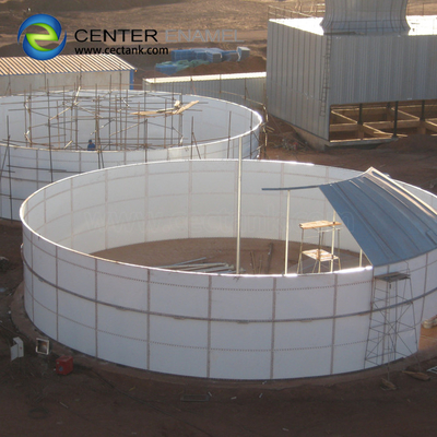 Biogasopslagtanks van roestvrij staal