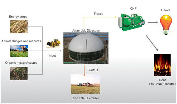 EPC USR/CSTR Biogas Anaërobe fermentatie Biogasopslagtank Afval tot energie Project Plant 1